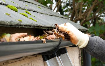 gutter cleaning Lower Town